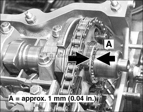 117 Camshaft Timing Chain