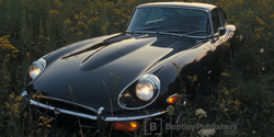 Jaguar E-Type Series 2  1969-1971